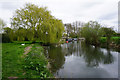 The River Lark near Jude's Ferry in IP28 8PX