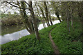 Path by the River Lark in IP28 8PX