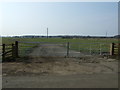 Gated farm track near North Saltwick in NE61 6BY