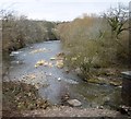 Mochdre Brook meets the River Severn in SY16 4HZ