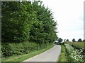 The edge of High Onn Wood in ST20 0AX