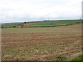 Farmland south of Otterton in EX9 7AY