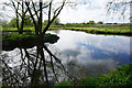 Branches of the River Lark near Isleham in CB7 5SL