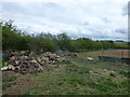 Piles of cut logs on Sandy Lane, Castle Acre in PE32 2AY
