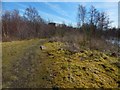 Path around Dalquhurn Point in G82 3PD