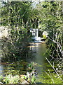 Overflow weir on the River Oughton in SG5 2TG