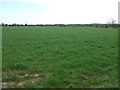 Farmland near Fenrother in NE61 3DP