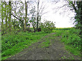 Field entrance through the trees in Rectory Lane in South East Cosford Ward