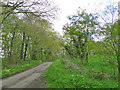 Rectory Lane, Whatfield in South East Cosford Ward
