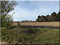 Farmland off Tunstall Road in IP12 2EP