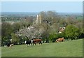 Ellesborough church from the flanks of Beacon Hill in HP17 0XE