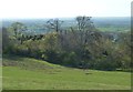 Cymbeline's Castle - from flank of Beacon Hill in HP17 0XE