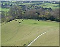 Cymbeline's Castle from top of Beacon Hill in HP17 0XE