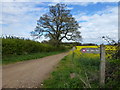 The Nar Valley Way near East Lexham, Norfolk in PE32 2QP
