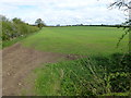 Farmland near Great Dunham, Norfolk in PE32 2LS