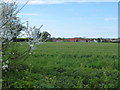 Field of cereal near Hill Farm in PE32 2GL