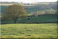 Countryside near Marsh Farm in DT8 3NP