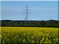 Power lines over a rape field in PE32 2LP