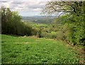 Blackdown Hills scarp in TA21 9LJ