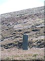 Boundary stone at Black Hill in DL6 3QA