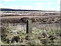 Boundary stone near Square Corner in DL6 3QA