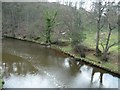 The River Esk, downstream from a railway bridge in YO22 5QJ