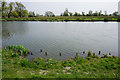 The Great Ouse near Ely in CB7 4TP
