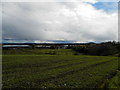 Farmland at South Powrie in DD3 0QF
