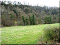Flat farmland, north bank of the Esk, with Scar Wood beyond in YO22 5YS