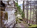 Rock outcrop in Weem Wood in PH15 2LB