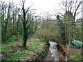 Iburndale Beck, upstream of the railway bridge, Sleights in YO22 5AA