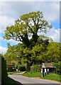 Bus Shelter at Hill Bottom, Oxfordshire in RG8 7RT