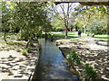 Outlet Stream from Decoy Pond in BN20 9AD