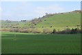 Big field, Whitcombe in BA22 7HB