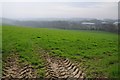Farmland at Abbotsham Cross in EX39 3QU