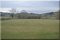 Field in the Severn Valley in SY17 5SG