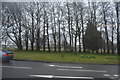 Wooded central reservation, A386 in PL6 8DH