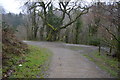 Footpath junction, West Wood in PL6 7JW