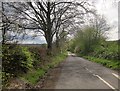 Road to Churchstanton in TA3 7DX