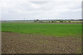 Flat farmland near Wicken in CB7 5XS