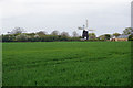 Field and windmill near Wicken in CB7 5XS