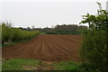Down the furrows from Norton Lane to Waterloo Plantation in LN8 2AX