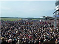 Packed crowd at The Rowley Mile Racecourse, Newmarket in CB8 0TF