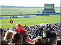 Near the winning line - Rowley Mile Racecourse, Newmarket in CB8 0TF