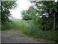 Bridleway to Buckworth from Woolley in Barham and Woolley