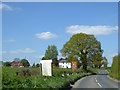 Solitary tree by B4361 south of Luston in HR6 0AP