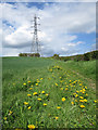 Pylon near Hye House Farm in TN33 9AP
