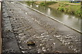 View of a weir on the River Lea from the elevated path in SG13 7AA