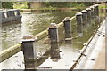 View along the breakwater next to the path on the River Lea in SG13 7AA