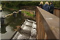 View of the weir between the breakwater and path on the River Lea in SG13 7AA